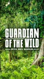 9x16_GuardianoftheWild