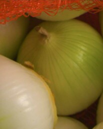 TastetheTown_Onions4x5